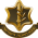 Badge_of_the_Israel_Defense_Forces.new.svg